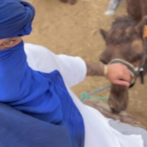 Miguel Vicente Instagram - Das semanas mais marcantes da minha vida, Marrocos sem dúvida irá ficar para sempre na memória e no meu coração. 
Foi uma viagem no sentido de uma ação social, em que vivenciei momentos inesquecíveis de uma realidade completamente diferente da nossa. 
O que vi fez me lembrar as histórias que os meus pais me contava quando eram novos, diz o meu pai que há 50 anos atrás o nordeste algarvio vivia essa realidade de os dias de hoje em Marrocos. 
Onde falta muito, desde água da rede, eletricidade, bens essenciais, bom, parece q falta tudo!! Mas o essencial que é o amor abunda no rosto da gente. 

A frase da viagem é: 

“Temos tanto que não sabemos o tanto que temos”