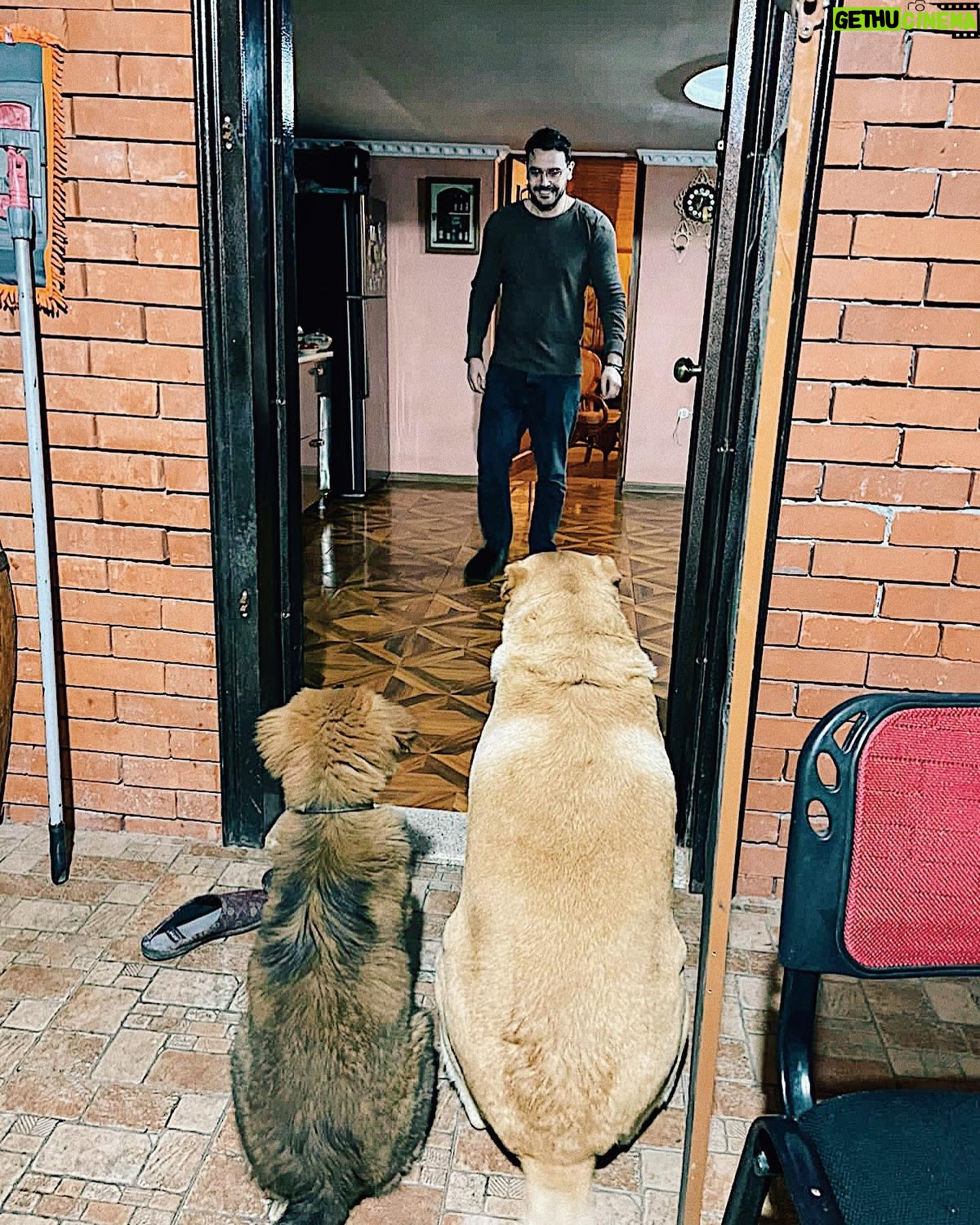 Mikael Aramyan - 2.7K Likes - Голод не тётка.