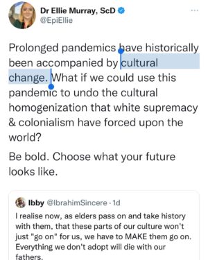 Mike Cernovich Instagram - It was always their cultural revolution.