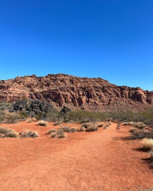 Mike Cernovich Instagram - There’s so much beauty in the U.S. but we take it for granted or don’t go. Too obsessed with Europe or “faraway places.” I’ve been to Switzerland, yes it’s wonderful. Utah, is, too. Be sure to see more of this country.