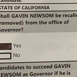 Mike Cernovich Instagram - Went in to vote in person, no issues at all.

Vote Yes on Recall!