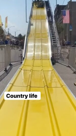 Mike Cernovich Instagram - 