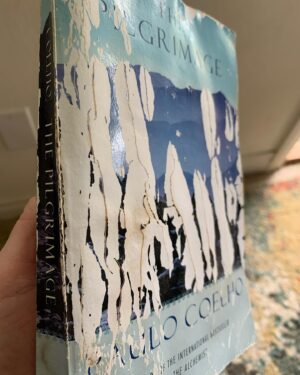 Mike Cernovich Instagram - The Alchemist is allegory, and the Pilgrimage is spiritual reflection wrapped in story. 

Not sure which is my favorite, both are high achievements into love and insight from Paulo Coelho.