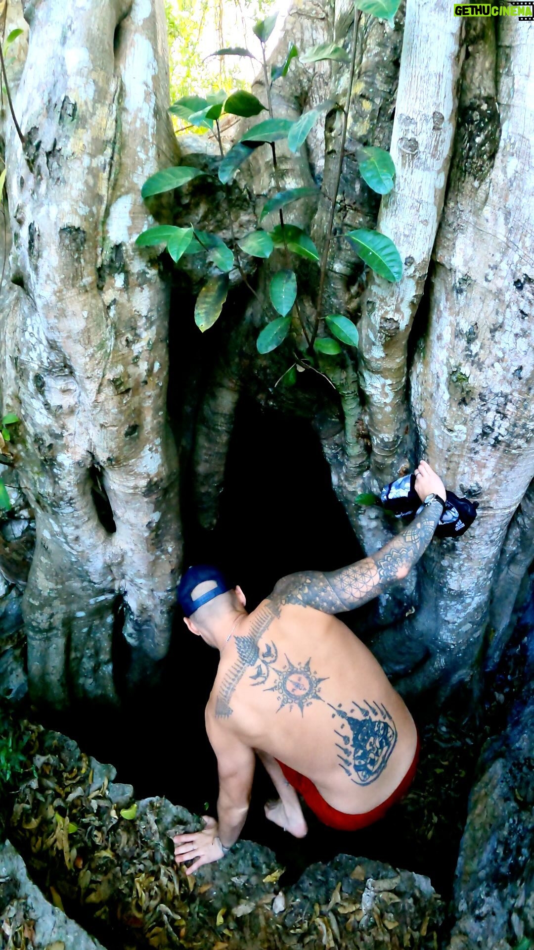 Mike Corey - 2.9K Likes - 10,000 cenotes in Yucatan… and I think we just found a portal to the underworld. Would you jump in? 👹
Exploring the lesser known side of Mexico with @tours_sukun