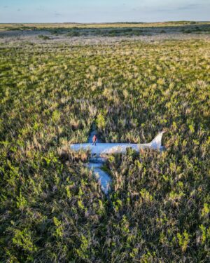 Mike Corey Instagram - HARDEST ADVENTURE OF MY LIFE ☠️

We’re always scheming down here in Mexico. I spend a lot of time in this country because there’s always a new adventure popping up…. Crystal Skulls, Junk Yard Shotguns, UFOs, etc. And when @arturo_elmago told me there was a crashed c❄️caine trafficking plane abandoned in the mangroves that no one knew the exact location of… you know we had to make a plan. How hard could it be?
 

We’ll, against Dengue fever, Venomous snakes, wasps, nests of ants, scabies, knee deep mud, a quarter billion mosquitos, and no possible chance of rescue… We made it to Escobar’s abandoned plane. But the question is…. Was the ❄️ still there?

VIDEO OUT THIS SATURDAY ON YT ▶️

I hope these photos show my pain.
Bonus: we slept inside 🔥🔥🔥

Thank you @arturo_elmago of @tours_sukun for this crazy idea. 
May our shared pains be our greatest memories 😆

#adventure #travel #mexico