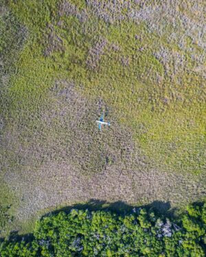 Mike Corey Instagram - HARDEST ADVENTURE OF MY LIFE ☠️

We’re always scheming down here in Mexico. I spend a lot of time in this country because there’s always a new adventure popping up…. Crystal Skulls, Junk Yard Shotguns, UFOs, etc. And when @arturo_elmago told me there was a crashed c❄️caine trafficking plane abandoned in the mangroves that no one knew the exact location of… you know we had to make a plan. How hard could it be?
 

We’ll, against Dengue fever, Venomous snakes, wasps, nests of ants, scabies, knee deep mud, a quarter billion mosquitos, and no possible chance of rescue… We made it to Escobar’s abandoned plane. But the question is…. Was the ❄️ still there?

VIDEO OUT THIS SATURDAY ON YT ▶️

I hope these photos show my pain.
Bonus: we slept inside 🔥🔥🔥

Thank you @arturo_elmago of @tours_sukun for this crazy idea. 
May our shared pains be our greatest memories 😆

#adventure #travel #mexico
