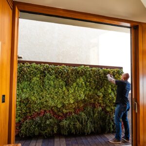 Mike Pyle Instagram - A great piece of living art requires a meticulous attention to detail👌🏼 Who’s going to let me put a living wall in their landscape design this summer!? DM me or click the link in my bio to book an appt. #MPD #MikePyleDesign #Aesthetic #Design #OutdoorLiving #LandscapeDesign #Landscaping