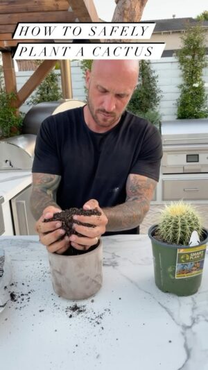 Mike Pyle Instagram - Planting cacti takes patience, but the end result is worth it. Below are some tips to make the process go a little more smoothly: 
Supplies needed:
✔️ well-draining soil (cactus/succulent soil is best) 
✔️ a scrap of fabric 
✔️ a container with a drainage hole 
Tips: 
✔️ always put a bit of soil in the bottom of your container 
✔️ use your material scrap to gently and safely lift the cactus out of its nursery container 
✔️ use a tool to help push it down into place to avoid getting stuck 🩸 #Cactus #LandscapeDesign #IndoorPlants #OutdoorPlants #PlantTips