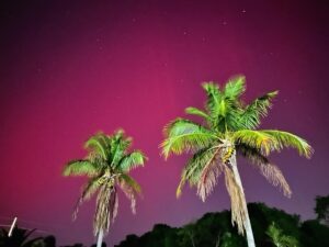 Mike Theiss Instagram - (May 10th, 2024) Incredible pink Aurora Borealis with faint light pillars in Key Largo, Florida. Never in my wildest dreams did I think I would witness the Aurora Borealis from my front yard in the Florida Keys. This truly was a rare and historical solar storm event. 

iPhone 14 ProMax
Photo Coordinates: (25° 07’ 56” N) (80° 24° 19” W)
.