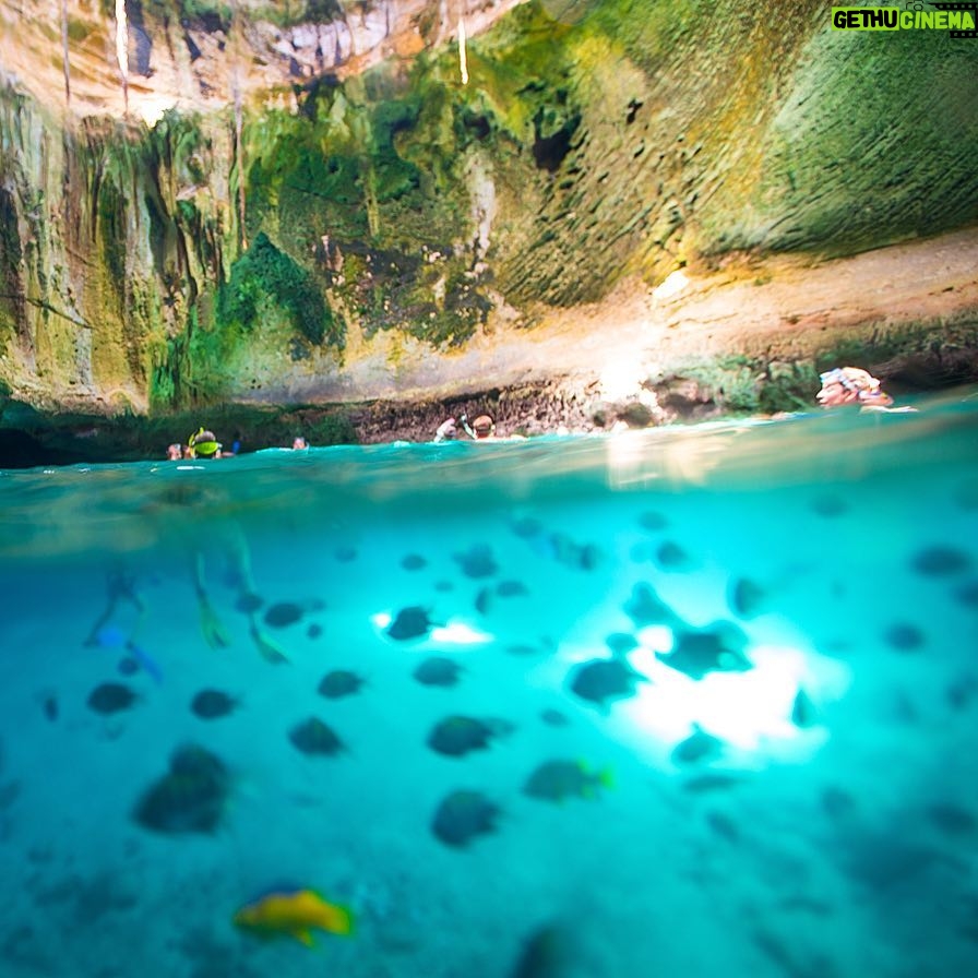Mike Theiss - 6K Likes - (On assignment @SandalsResorts) Snorkeling inside the Thunderball Grotto cave with @IslandRoutes in Exuma, Bahamas. This underwater cave system is great for snorkeling and diving. It has an abundance of exotic marine life and a wide variety of brilliantly colored corals and fish. The grotto's mystique is heightened by the small, almost hidden entrance. It is advised to enter at low or slack tide. At high tide, diving equipment is necessary. The grotto got its name from the 1965 James Bond spy film "Thunderball," which was shot there. It was also the site of James Bond film, "Never Say Never Again" in 1983, also based on the Thunderball novel. #LiveFunner Photo by Mike Theiss @ExtremeNature