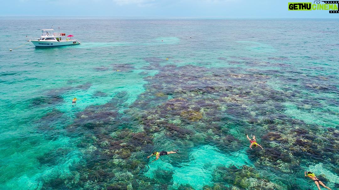 Mike Theiss - 6.5K Likes - White Banks coral reef located inside the Key Largo National Marine Sanctuary a few miles offshore of Key Largo, Florida. These inner coral reefs have an average water depth of 4-6 feet, perfect for snorkeling.
-
Call @Sundiver Snorkel Tours to make your snorkeling reservations today ☀️ 305-451-2220 ☀️
-
Follow @Sundiver on Instagram Today !!
-