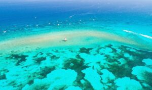 Mike Theiss Instagram - Molasses reef during extreme low tide with crystal clear water this Memorial Day weekend. Molasses coral reef is located a few miles offshore of Key Largo, Florida inside the Florida Keys National Marine Sanctuary. Photo by Mike Theiss @ExtremeNature
-
☀️ If you plan on snorkeling in Key Largo I highly recommend going with @Sundiver Snorkel Tours ☀️
-