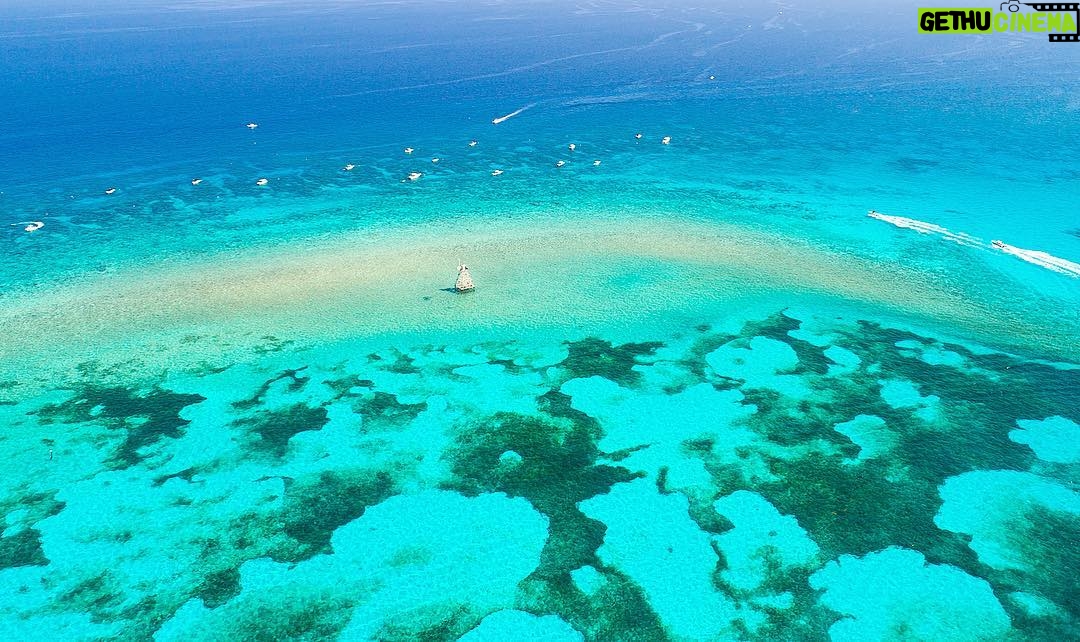 Mike Theiss - 5.4K Likes - Molasses reef during extreme low tide with crystal clear water this Memorial Day weekend. Molasses coral reef is located a few miles offshore of Key Largo, Florida inside the Florida Keys National Marine Sanctuary. Photo by Mike Theiss @ExtremeNature
-
☀️ If you plan on snorkeling in Key Largo I highly recommend going with @Sundiver Snorkel Tours ☀️
-