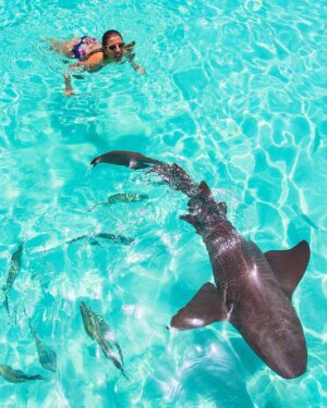 Mike Theiss Instagram - (On assignment @SandalsResorts) The adventure continues in Exuma, Bahamas with @IslandRoutes this time swimming with nurse sharks !! #LiveFunner Photo by Mike Theiss @ExtremeNature