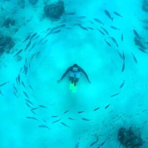 Mike Theiss Instagram - Snorkeling with @IslandRoutes and the “fish whisperer” at Carlisle Bay, Barbados. Our snorkel guide knew how to get the fish swimming in a perfect circle around him creating a fish tornado !! Photo by Mike Theiss @SandalsResorts #LiveFunner