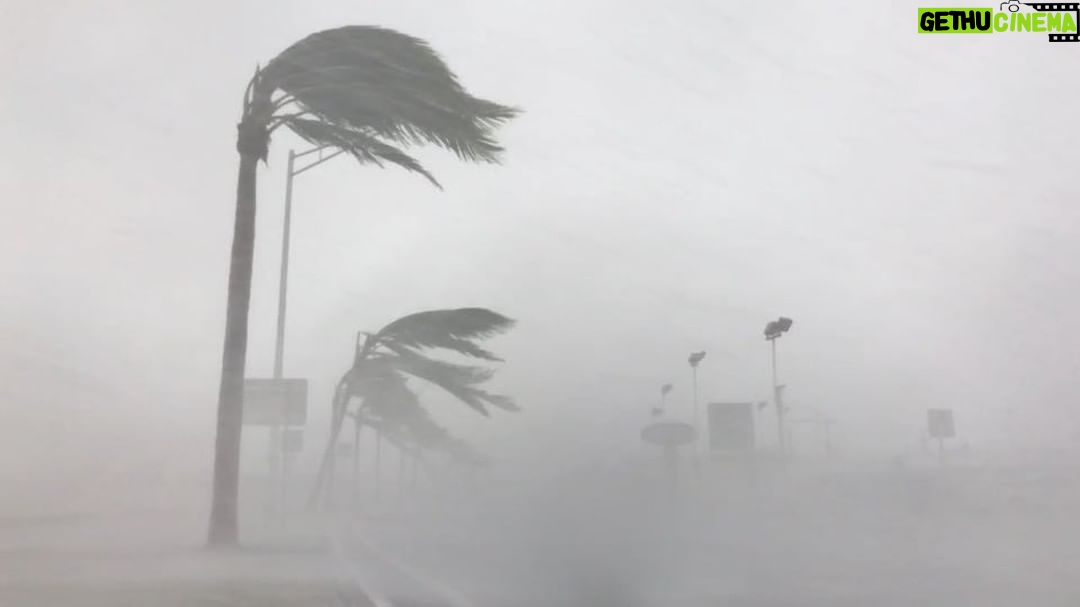 Mike Theiss - 7.3K Likes - (Video) Hurricane Irma's western eyewall making landfall on the north coast of Key West, Florida. Video by Mike Theiss @ExtremeNature