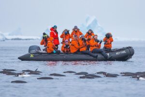 Mike Theiss Instagram - 🐧 Are you a nature or adventure photographer ? This photo could be you. Hurry !! There is less than one week remaining to enter your best photos for a chance to WIN an adventure of a lifetime !! Lindblad Expeditions is looking for an Instagrammer to shoot South Georgia & the Falkland Islands with Extreme Nature Photography on an epic expedition in October. Please read the rules below for a chance to win this photo commission aboard National Geographic Explorer.
-
Step 1: Follow @extremenature and @lindbladexp
-
Step 2: Tag the actual photo to both accounts @extremenature and @lindbladexp
-
Step 3: Hashtag #naturecontest to the photo you want to enter that best shows a connection between humans and nature. (5 photo entires maximum allowed).
-
Details at www.expeditions.com/extremenature
NO PURCH NEC. Contest ends 6/19/17. 50 US, DC, or Canada (excluding Quebec), 18 . Official Rules: https://www.expeditions.com/extremenature​. Void Where Prohibited.