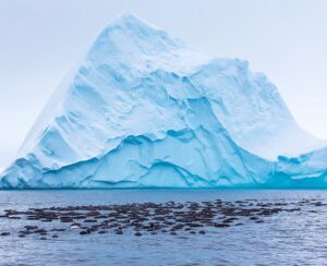 Mike Theiss Instagram - 🐧 There are only 8 days remaining to enter your best photos for a chance to WIN an adventure of a lifetime !! Lindblad Expeditions is looking for an Instagrammer to shoot South Georgia & the Falkland Islands with Extreme Nature Photography on an epic expedition in October. Please read the rules below for a chance to win this photo commission aboard National Geographic Explorer.
-
Step 1: Follow @extremenature and @lindbladexp
-
Step 2: Tag the actual photo to both accounts @extremenature and @lindbladexp
-
Step 3: Hashtag #naturecontest to the photo you want to enter that best shows a connection between humans and nature. (5 photo entires maximum allowed).
-
Details at www.expeditions.com/extremenature
NO PURCH NEC. Contest ends 6/19/17. 50 US, DC, or Canada (excluding Quebec), 18 . Official Rules: https://www.expeditions.com/extremenature​. Void Where Prohibited.