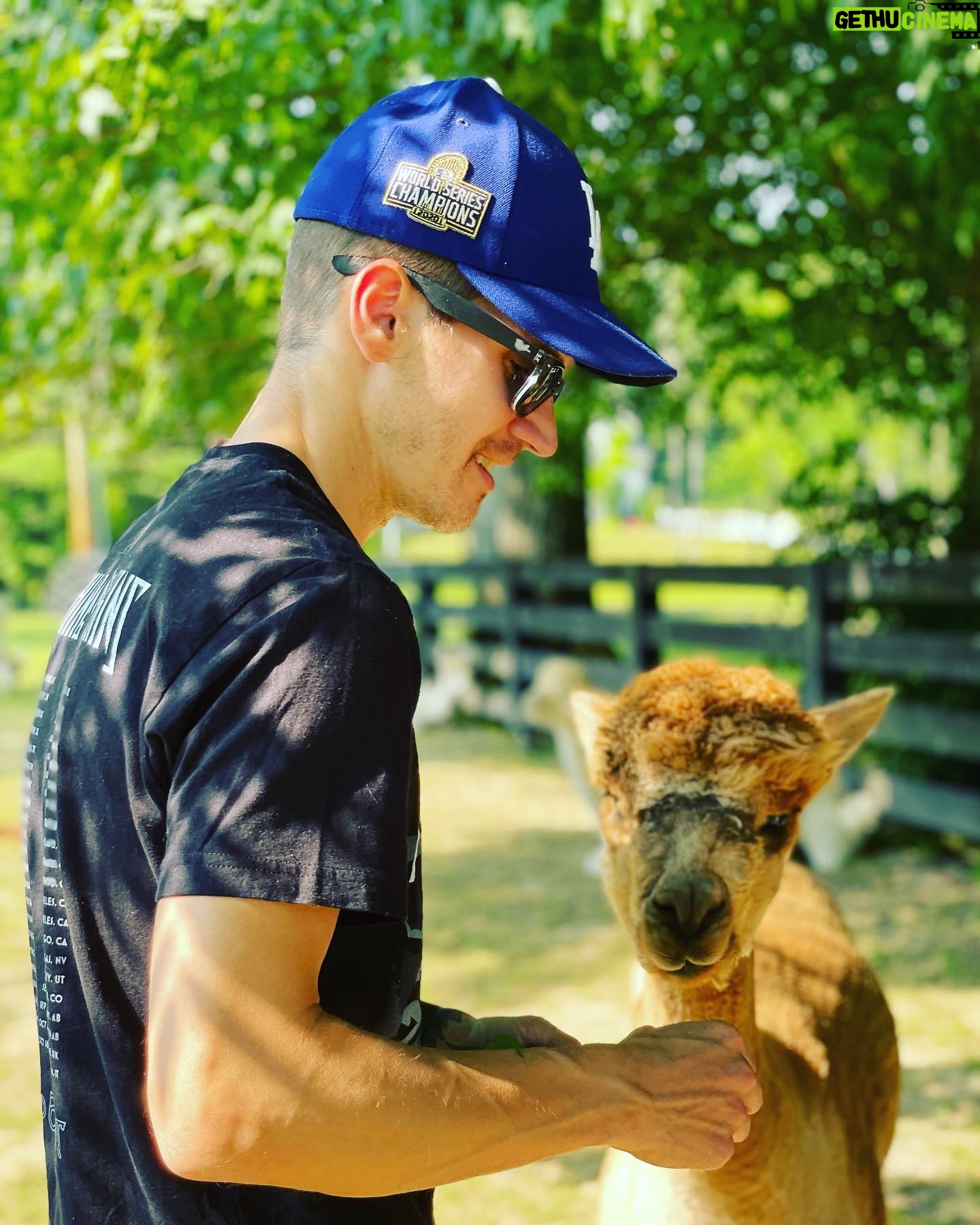 Mikey Way - 41K Likes - 🤔 Getting pretty hungry... next time alpaca lunch. 🦙
