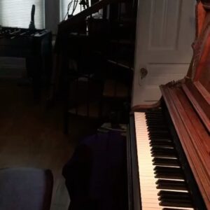 Mikey Way Instagram - Thanks to everyone who participated in showing me you’re an MCR fan! 
What you all sent was inspiring, moving, creative and everything in between!
I’ll leave you with this clip that completely blew my mind. Meet Rose @rose.flying - and here they are owning the intro to Thank You For The Venom on piano 🤯
