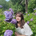 Miki Hashima