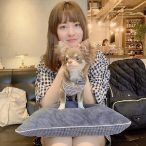 Miki Hashima Instagram - めるちゃんと🐶💕

#チワワ
#妹の愛犬
#この日だけは私のめるちゃん