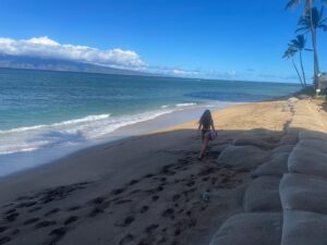 Miki Ishikawa Instagram - To sum things up 🤙🏼🌺🐢🦈🌊

Only place that still feels like home when I touch down. Heart is full 🤍