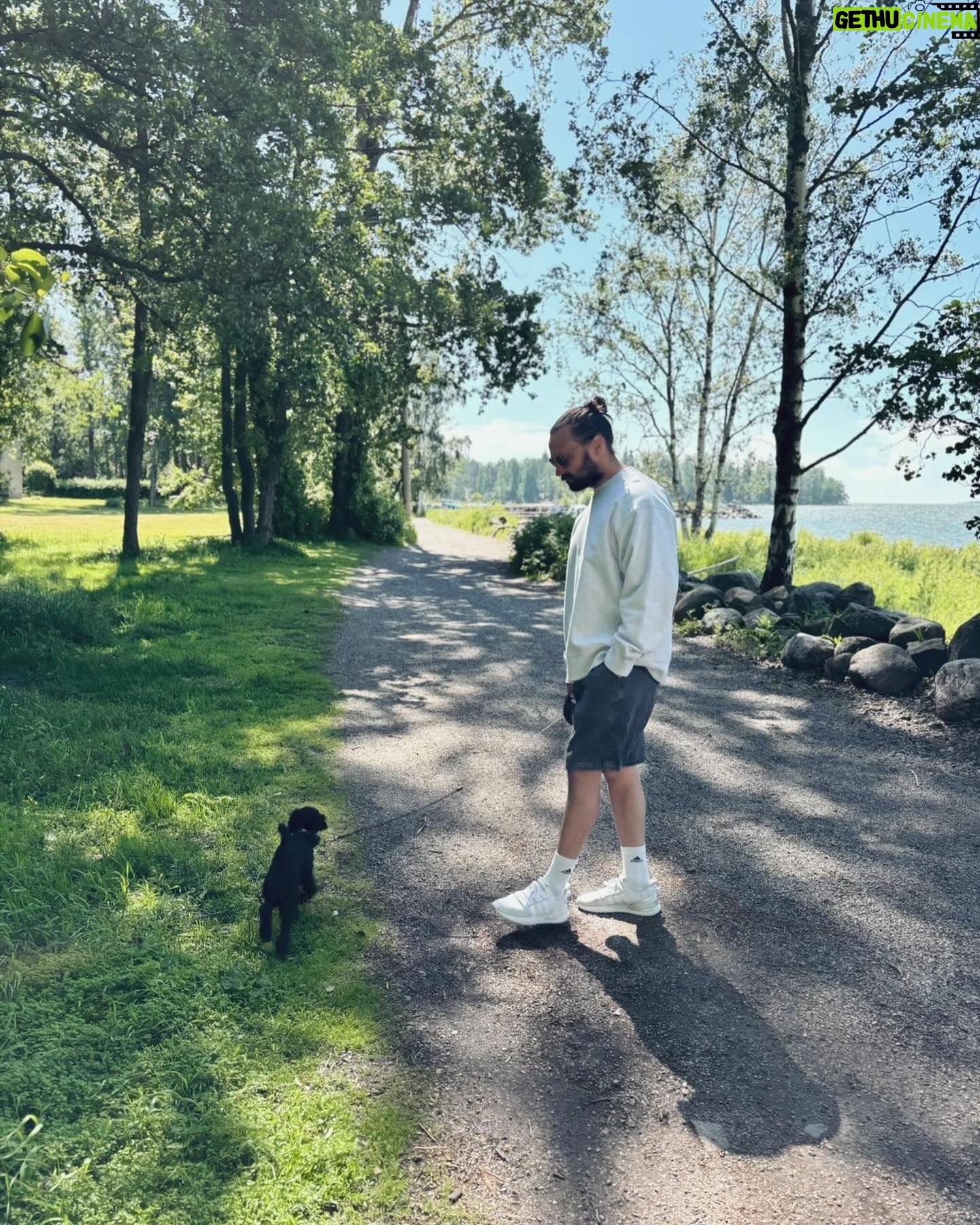 Mikko Parikka - 2.4K Likes - 🐶🐶🐶