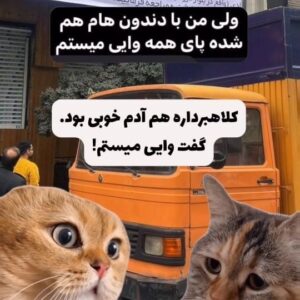 Milad Nouri Instagram - ‌
بعد از این داستان #کوروش_کمپانی و #آیفون بیست میلیونی، امیدوارم برای همه‌مون درس بشه فقط به دلیل اینکه یک بازیگر، خواننده، فوتبالیست و... چیزی رو تبلیغ کرد، سمتش نریم.
‌
یادمون باشه تهش نهایتا طرفدارهایی که به حرفشون اعتماد کرده بودند رو یک استوری "به ما ربطی نداره" مهمون می‌کنند.