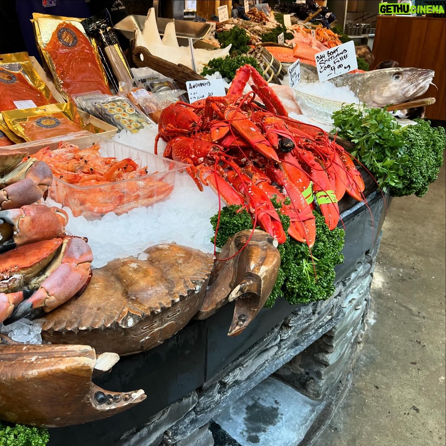 Miles Luna - 0.9K Likes - I think Borough Market is my favorite place in all of London. I wanna live in the rafters above it like the Phantom of the Market. Or, like, a lil rat guy.
Bonus pic cuz idk
