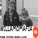 Mimosa Willamo