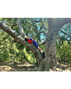 Minami Instagram - 木が好み。

#🌳 #treeoflife