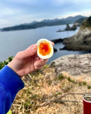 Minami Instagram - Last time, I had a wonderful experience during my morning routine...
I got up early, packed a picnic box and headed out for a hike. I had the pleasure of having breakfast at the top of the hill (it wasn't too high).
Then I had the pleasure of starting to write my journal... It was an amazing experience to re-center myself at the top of the mountain.
Then I jumped into the ocean and had a swim... it was frozen but it felt like all the molecules had woken up. what a beautiful start to the day 😍
The more we observe nature, the more we can refocus.
The more you melt into nature, the more every little bullshit in life starts to turn into nothing at all.
I think I really need to feel more nature on those days.

この前、朝の日課で素敵な体験をした。
早起きして、ピクニック用のご飯を作り、ハイキングに出かけた。丘の頂上で朝食をとり（それほど高くはない）、それから日記を書き始めた。山の頂上で自分を見つめ直すことって今まで中々なかったから本当にいい経験だった。
それから海に飛び込んで泳いで...凍ったけど、すべての分子が目覚めたような感じがした。美しい一日の始まりだった。
自然を観察すればするほど、自分の軸とコネクトできる。
自然の中に溶け込めば溶け込むほど、人生における些細な戯言が何でもなくなる。
もっと自然を感じたいと思う今日この頃です。