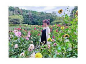 Minami Instagram - ダリア園とっても綺麗だったの❁⃘*.ﾟ#塙町 #ダリア #福島