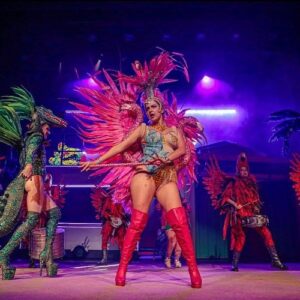 Miranda de la Serna Instagram - Lo más lindo del carnaval es que no importan las palabras ✨🦩
Vengan al teatro!