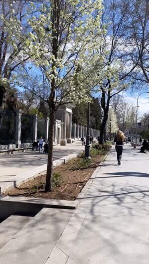 Mirella Granucci Instagram - Madrid en primavera. 🌸