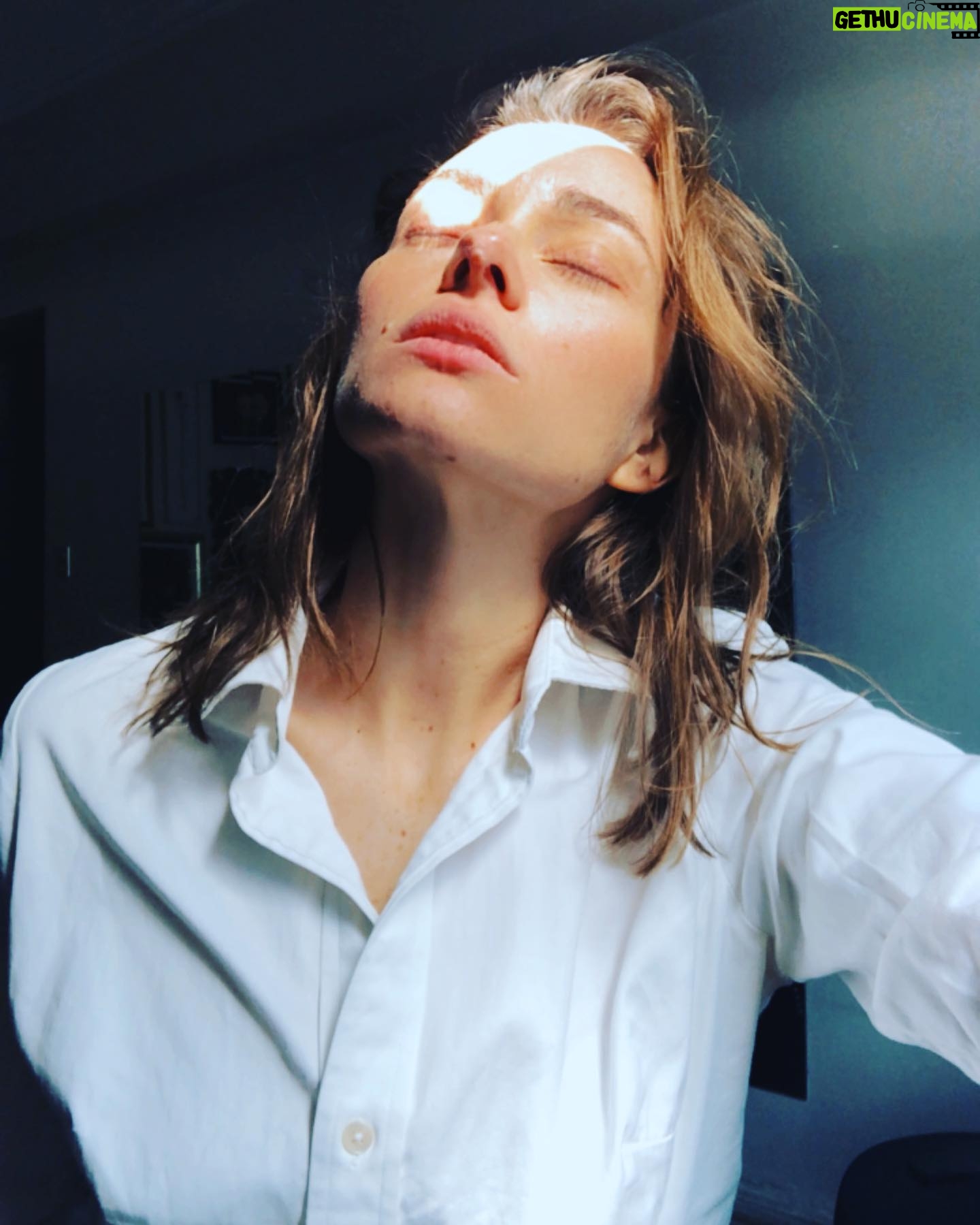 Mirella Granucci - 192 Likes - AsĆ fue cuando lleguĆ© a mi departamento en Santiago. Todo parado en el tiempo. Todo muerto y cubierto de colores vivos. Todo igual y todo completamente alejado de mĆ.
El hilo por el cual colgaba mis certezas se habĆa convertido en ceniza.
Nada estaba. Nada era. Ni yo.