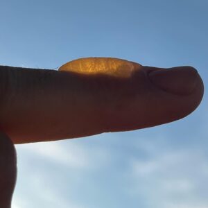 Míster Jägger Instagram - -Un año más defendiendo el título de Gatita Tragona

-Shiny ampolla como oruga resplandeciente

-“La realidad se está despegando y yo estoy en el turno de noche”

-Toma mi lechita noco noco

-Solo arde lo que no es piedra

-El puto catarrazo ese Full belleza Full ideas en el Pantano 2.05 & Ghost in the Sello sobre la carta

-Bolongo

-Un pulpo