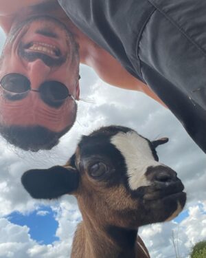 Míster Jägger Instagram - Como en casa