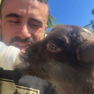 Míster Jägger Instagram - -Un año más defendiendo el título de Gatita Tragona

-Shiny ampolla como oruga resplandeciente

-“La realidad se está despegando y yo estoy en el turno de noche”

-Toma mi lechita noco noco

-Solo arde lo que no es piedra

-El puto catarrazo ese Full belleza Full ideas en el Pantano 2.05 & Ghost in the Sello sobre la carta

-Bolongo

-Un pulpo