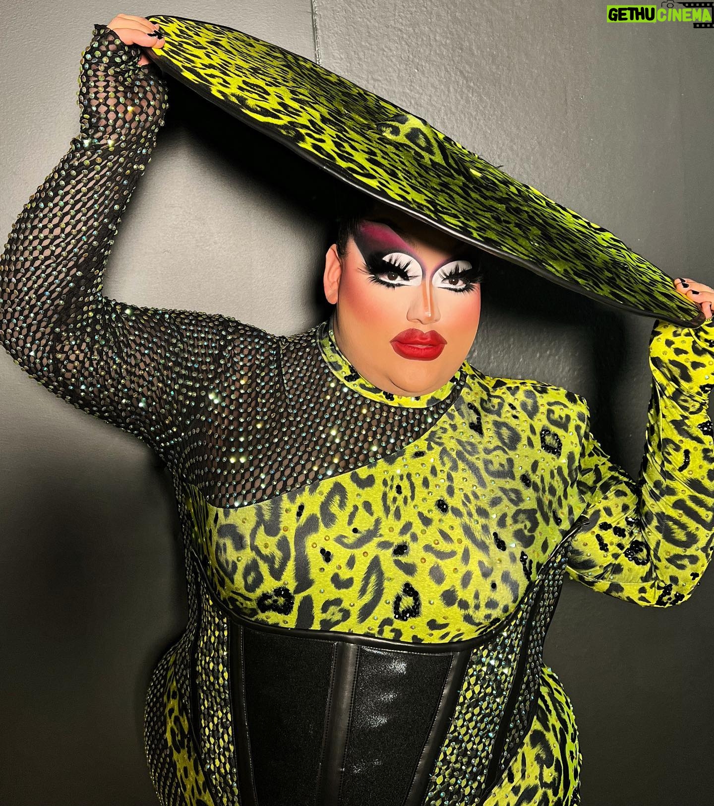 Mistress Isabelle Brooks - 21.3K Likes - Leopard print is my favorite color 😚
.
.
#drag #dragqueen #rpdr #dragrace