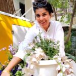 Mita Vashisht