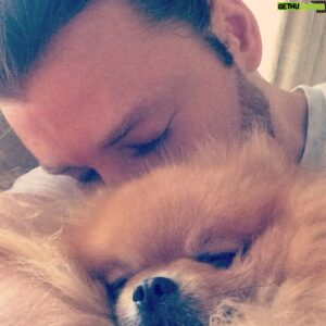 Mitch Hewer Instagram - Love 🐶 #pomeranian #Pom