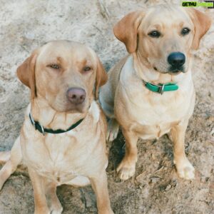 Mitchell Slaggert Instagram - My little branch managers #wubbalubs