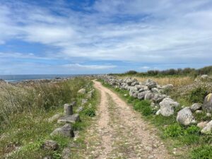 Mitra Jouhari Instagram - I just spent the last 11 days walking 170miles from Porto, Portugal to Santiago de Compostela, to the huge cathedral you see in the final slide. (I took the Portuguese Coastal route of the Camino de Santiago). This was so challenging, beautiful, validating, exciting, CHALLENGING, and special. I feel so lucky to get to experience something like this and feel such gratitude for the support from loved ones I received while doing this hike. I met so many great people and had so much time to myself - both wonderful. Last year I experienced a lot of physical and emotional challenges and this made me feel so much more connected to… everything!!! LOL. I truly can’t believe I did it. I feel so strong!!! And tired 😎❤️🌸💐🌺🌷🌼