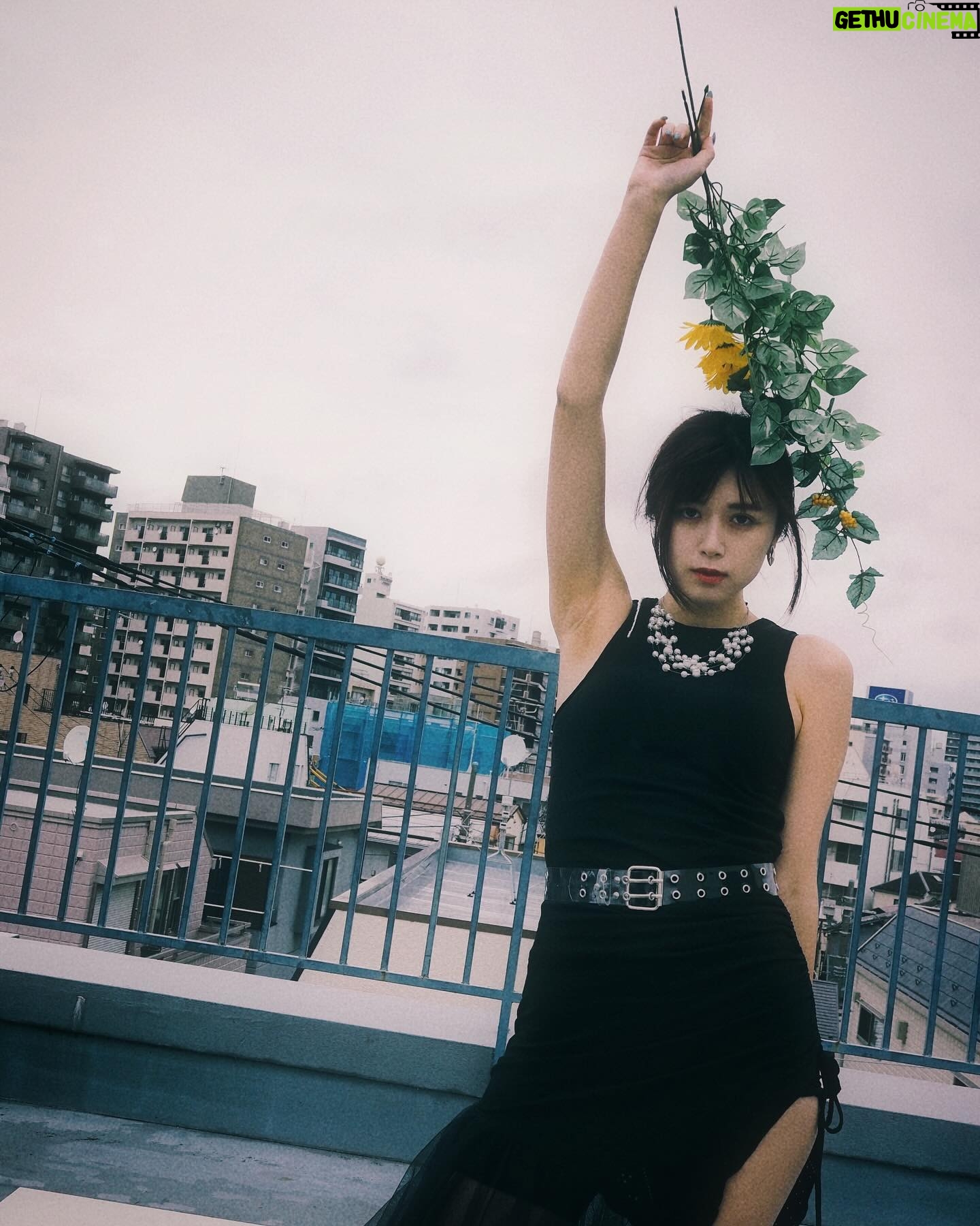 Miyu Kitamuki - 1.5K Likes - @vivezlacroy8