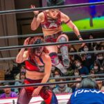 Miyu Yamashita