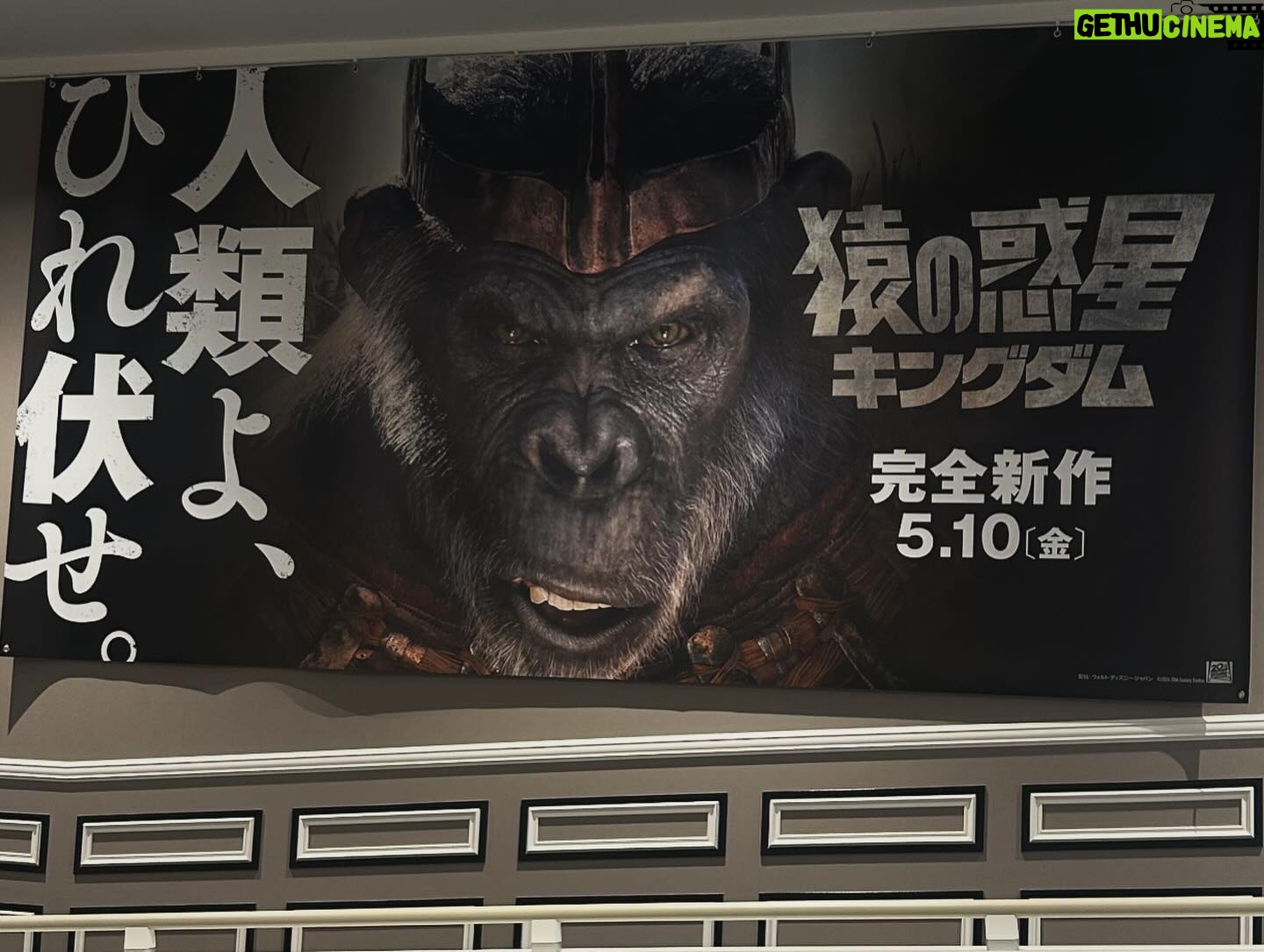 Mizuta Shiori - 3 Likes - 映画館で見つけて思わず撮っちゃいました🦍🐒
どっちも楽しみすぎる🥺🥺🥺