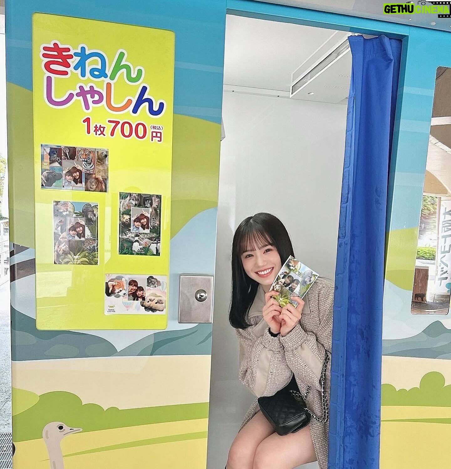 Mizuta Shiori - 3 Likes - ⠀きねんしゃしん🌝
坂下まこちが一緒に撮ってくれました👩🫶🫶
⠀
⠀
#天王寺#天王寺動物園#動物園#大阪