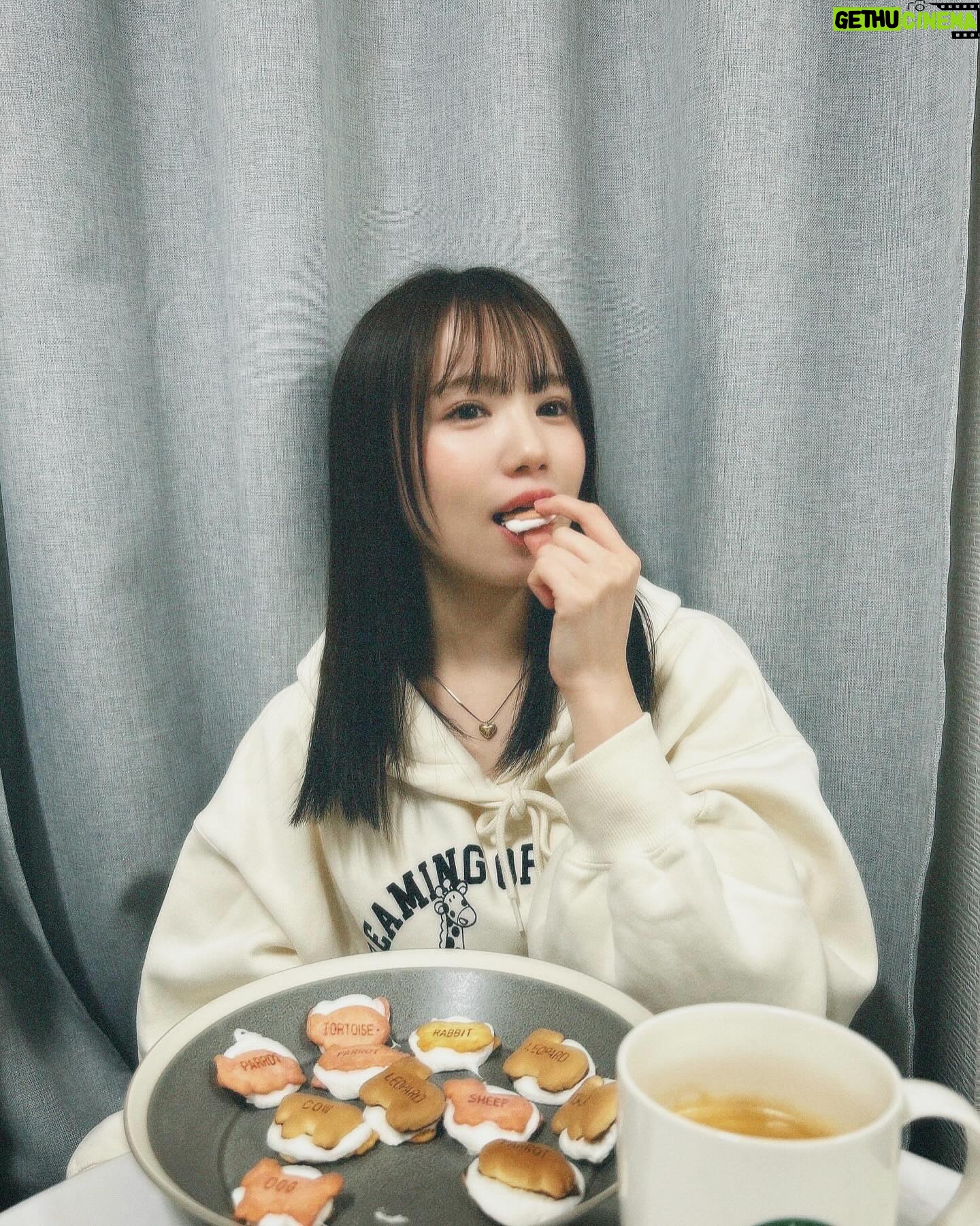 Mizuta Shiori - 3 Likes - ćÆć£ć“ć¼ć°ćććććš
ćć¹ć£åć©ćć¶ć¤ć§ćć·ć„ćććµć³ćä½ć£ććš°šŖ
ćć¼ć«ć¼ććć¹ć£åšš¦š±^ ^
#NMB48#ć¢ć¤ćć«#ćć¬ć³ćæć¤ć³#ćć¹ć£åć©ćć¶ć¤